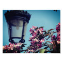 Suche nach baumblüten poster Quelle