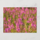 Suche nach discovery postkarten Horizontal