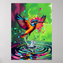 Suche nach eisvögel poster Eisvogel