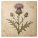 Suche nach distel fliesen Blume