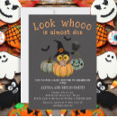 Suche nach halloween eule Hexe
