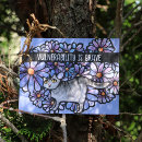 Recherche de chat floral cartes postales Marguerites
