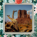 Suche nach südwesten ornamente Arizona