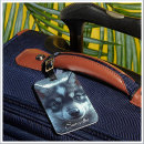 Recherche de loups bagages étiquettes Faune