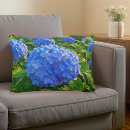 Recherche de hortensia bleu maison deco Botanique