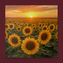 Recherche de champs puzzles Campagne