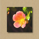 Recherche de fleurs impressions sur toile Nature