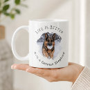 Recherche de berger classiques tasses Pour tous