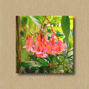 Suche nach begonien poster Natur