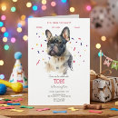 Recherche de de de bouledogue invitations Animaux de compagnie