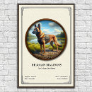 Suche nach malinois poster Tier