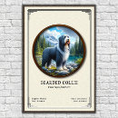 Recherche de chien de colley posters Barbu
