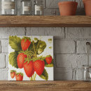 Suche nach vintage erdbeeren fliesen Für sie