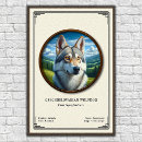 Recherche de chien de berger posters Race
