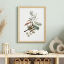 Recherche de oiseaux vintages posters Pour elle