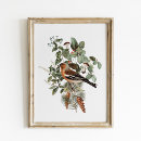 Suche nach vintage botanik poster Botanisch