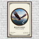 Recherche de rapaces posters Oiseau