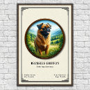 Recherche de petit singe posters Chien
