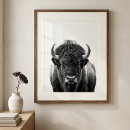 Recherche de buffles posters Bison