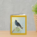 Suche nach amsel karten Vogel