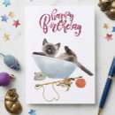 Recherche de chaton siamois Aquarelle