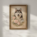Suche nach sibirischer husky poster Blaue augen