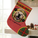 Recherche de maman chaussette de noël Dogs