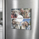 Recherche de perte magnets Pour eux