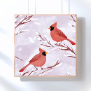 Suche nach roter vogel poster Malerei