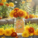 Suche nach ringelblume Orange