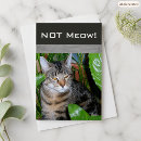 Suche nach funny cat karten Gruselig