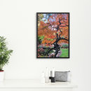Suche nach acer poster Bäume