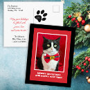 Suche nach für tierliebhaber postkarten Katze