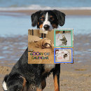 Recherche de fou bureau fournitures Chats