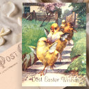 Recherche de poussin mignon cartes postales Heureux