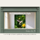 Recherche de de colibri art Mother