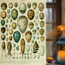 Recherche de millot posters Antique