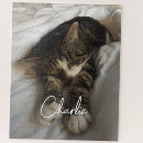 Recherche de puzzels modern puzzles Mignon