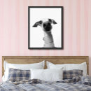 Suche nach large poster Hund