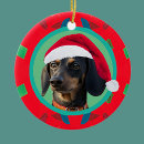 Suche nach dachshund ornamente Feiertag