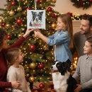 Recherche de border collie ornements Chiens
