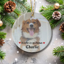 Recherche de pet keepsake In loving memory