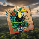 Recherche de toucan ornements Animal