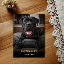 Recherche de corsos vœux cartes Chien