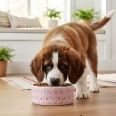 Recherche de minou animaux articles Joli