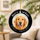 Recherche de décédé Chien