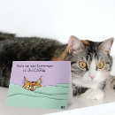 Suche nach orange katze alle karten Katzenliebhaber