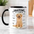 Suche nach lustige anatomie Labrador retriever