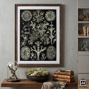Suche nach flechten poster Pilze