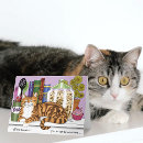 Suche nach kitchen alle karten Katze